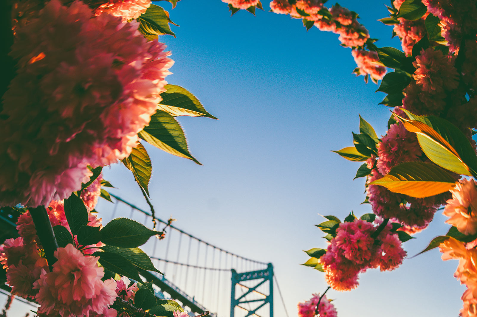 Why a Simple Will May Not Be Enough for a Modern Family